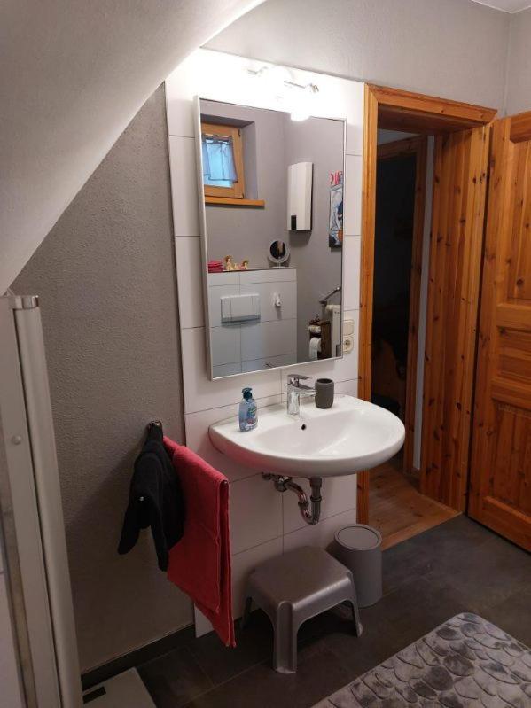 Kuckucksnest - Ferienwohnung Welschneudorf Екстер'єр фото